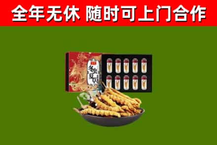 黄冈市回收冬虫夏草价格
